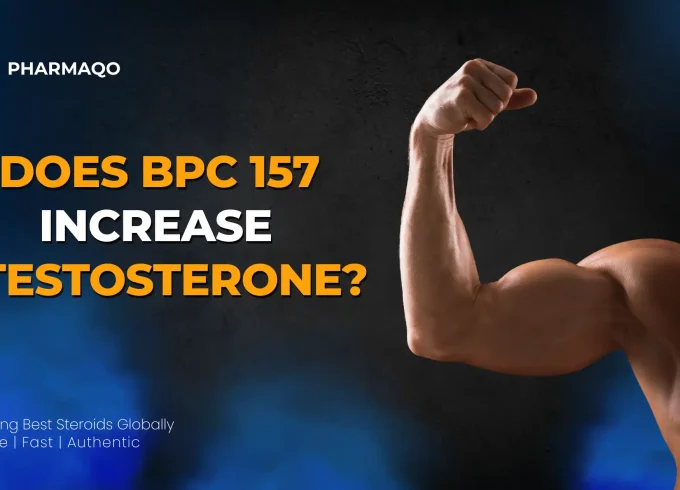 Does BPC 157 Increase Testosterone