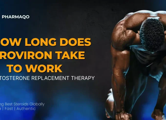 how long does proviron take to work