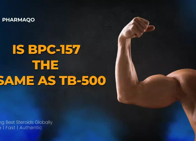 bpc 157 the same as tb500