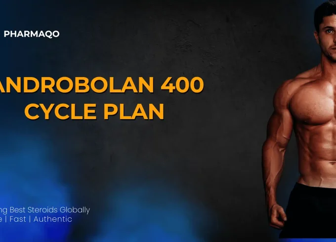 Androbolan 400 Cycle Plan