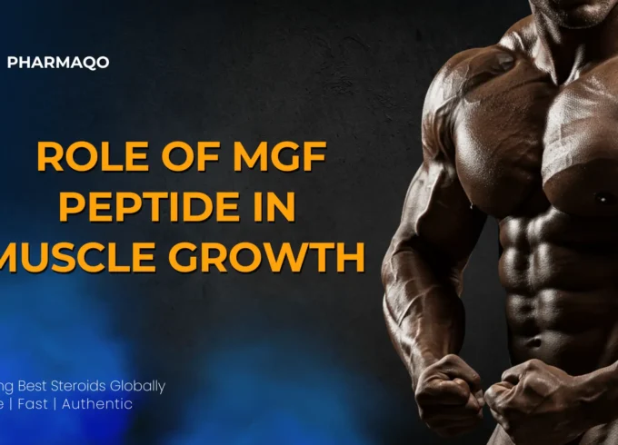 The Role of MGF Peptide in Muscle Growth and Recovery