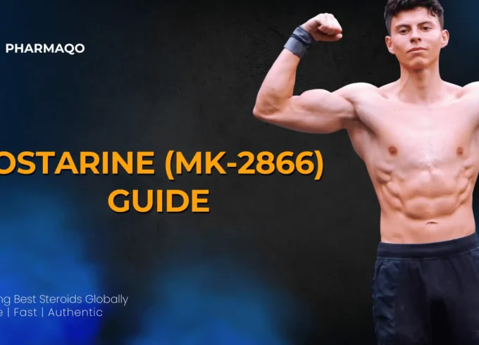 Ostarine (MK-2866) Guide