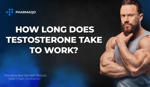 How Long Does Testosterone Take to Work?
