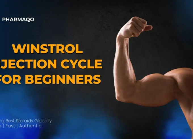 Winstrol Injection Cycle for Beginners