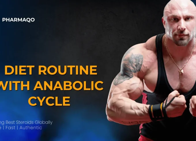 Diet routine with Anabolic Cycle