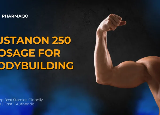 Sustanon 250 Dosage for Bodybuilding