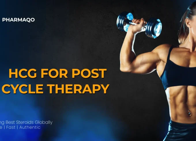HCG for Post Cycle Therapy