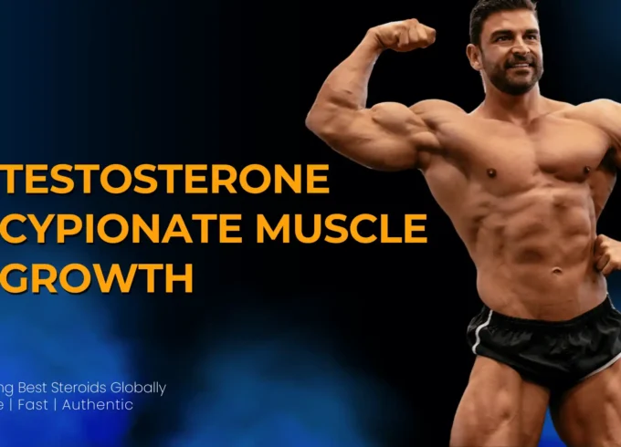 Testosterone Cypionate Muscle Growth