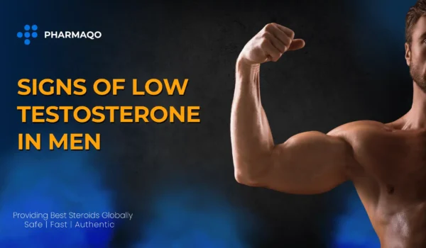 Signs of Low Testosterone in Men