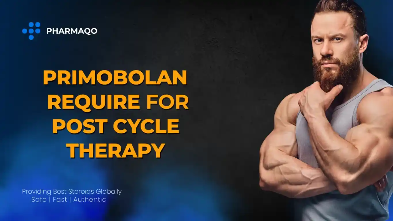 Does Primobolan Require Post Cycle Therapy?