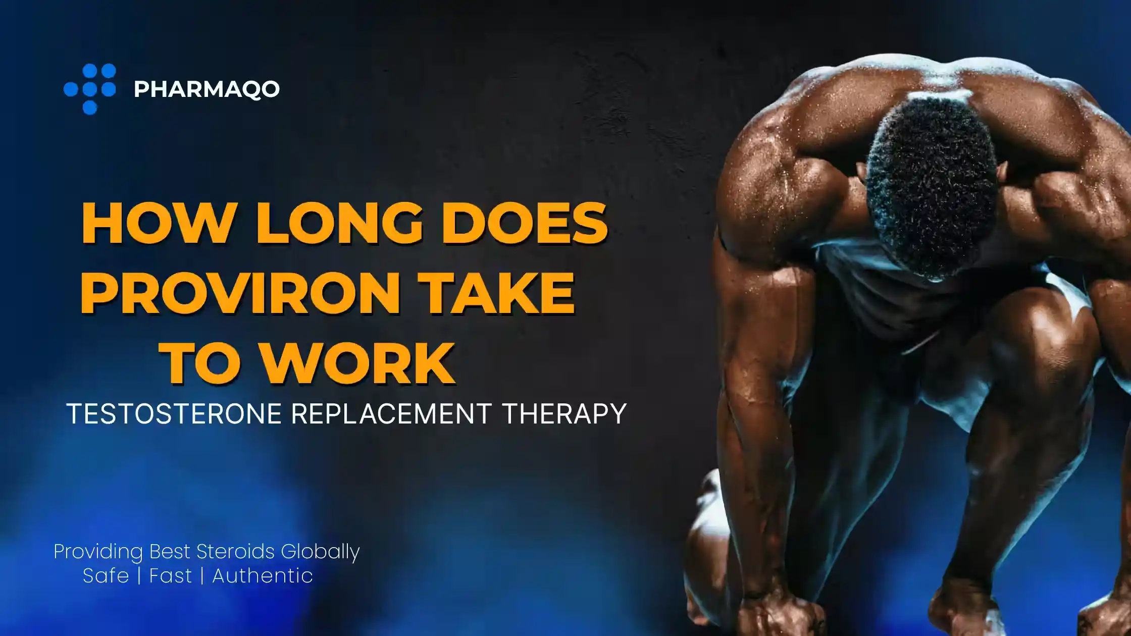 how long does proviron take to work