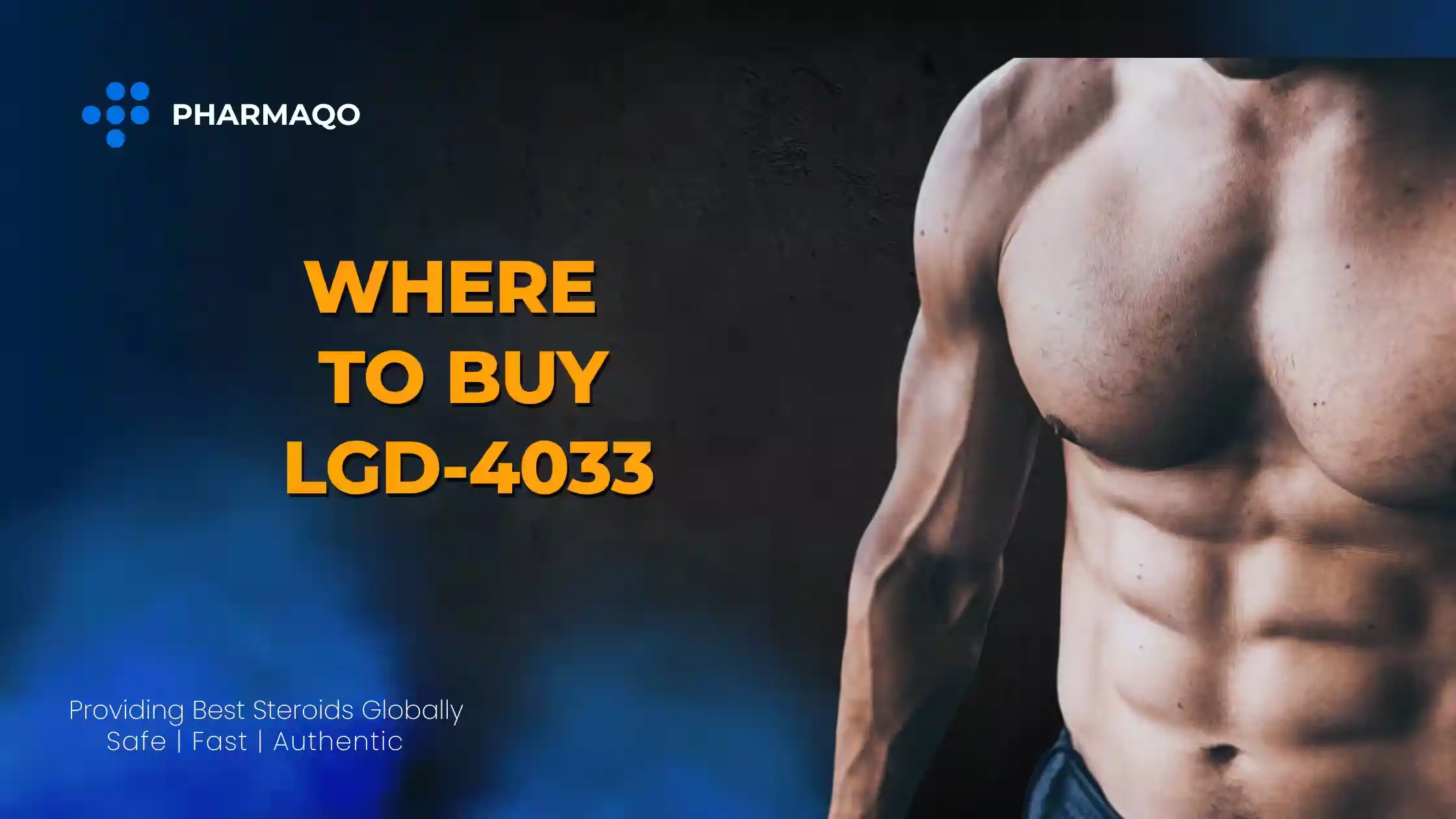 lgd 4033 buy